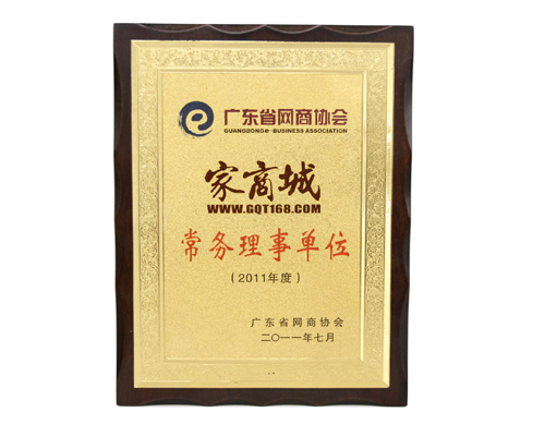 廣東省網(wǎng)商協(xié)會(huì)常務(wù)理事單位